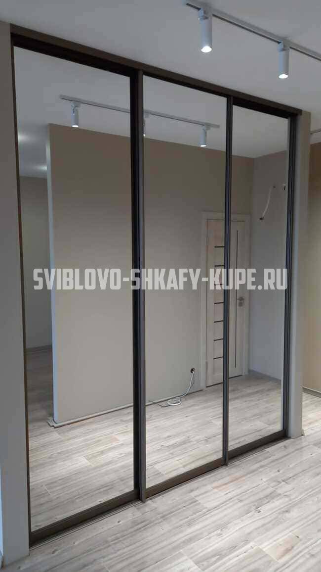 Встроенные шкафы на заказ Свиблово